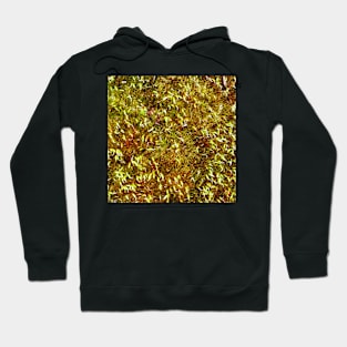 New life Hoodie